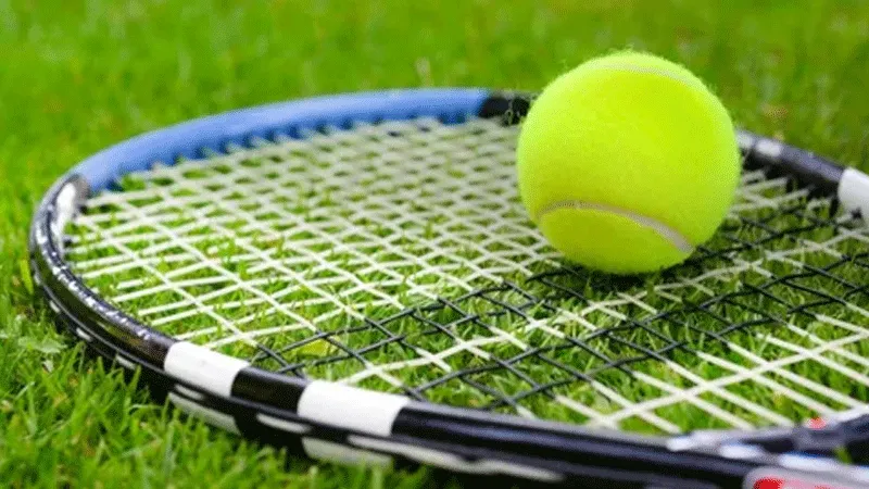 Организация учебно - тренировочного процесса в TennisTime